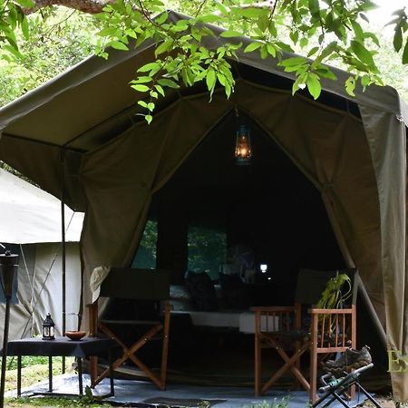 Explorer By Eco Team - Wasgamuwa National Park Exterior photo