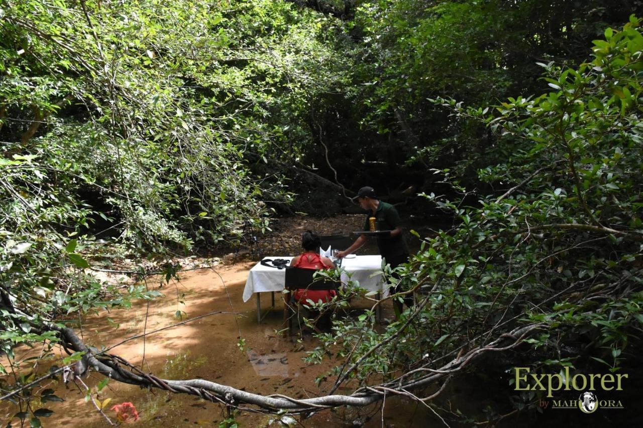 Explorer By Eco Team - Wasgamuwa National Park Exterior photo