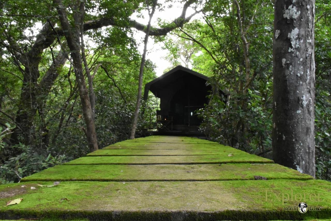 Explorer By Eco Team - Wasgamuwa National Park Exterior photo