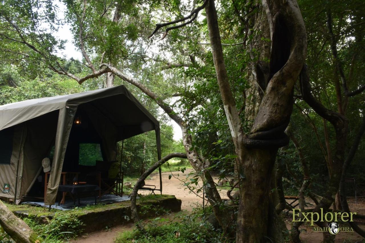 Explorer By Eco Team - Wasgamuwa National Park Exterior photo