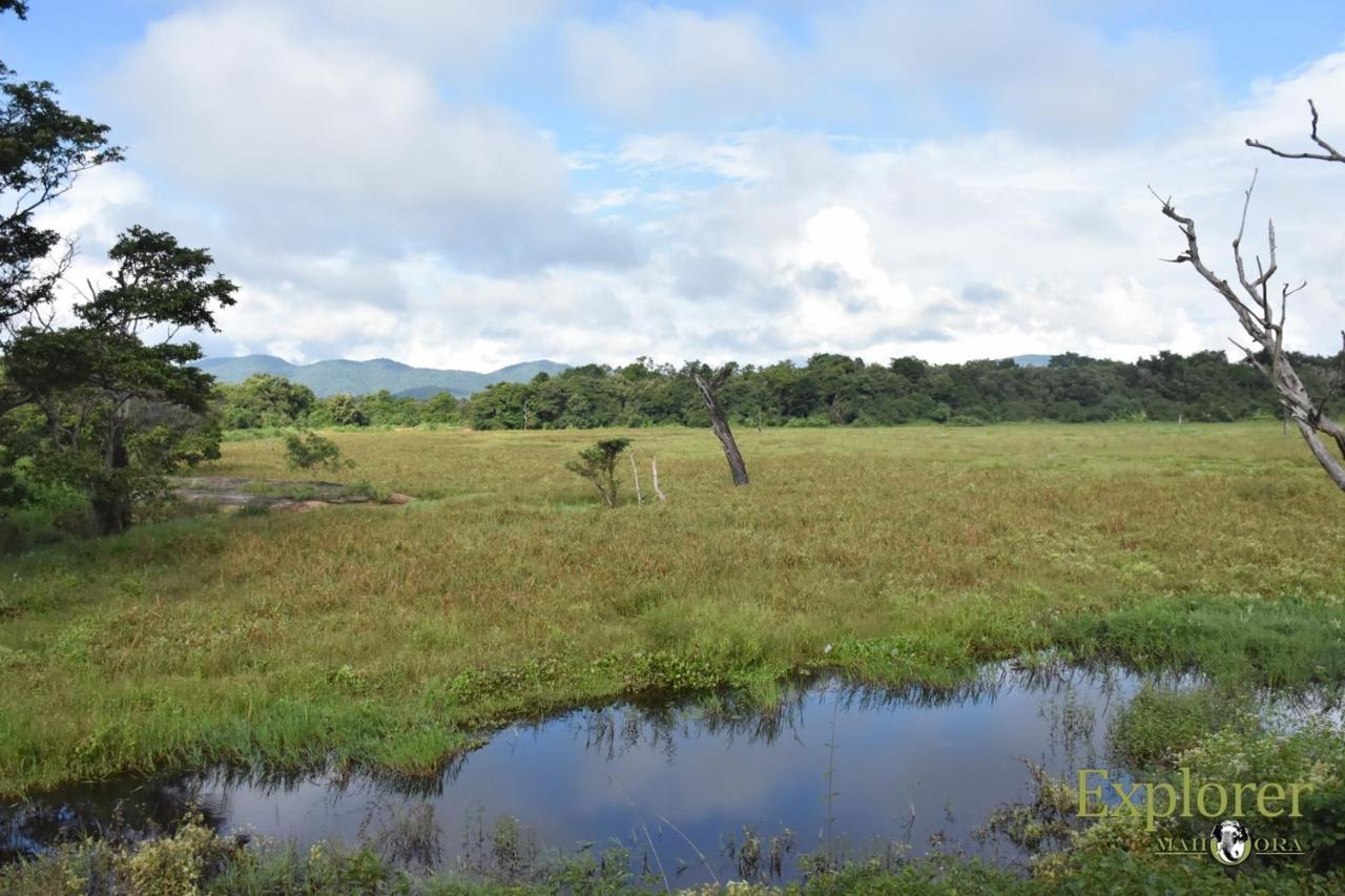 Explorer By Eco Team - Wasgamuwa National Park Exterior photo