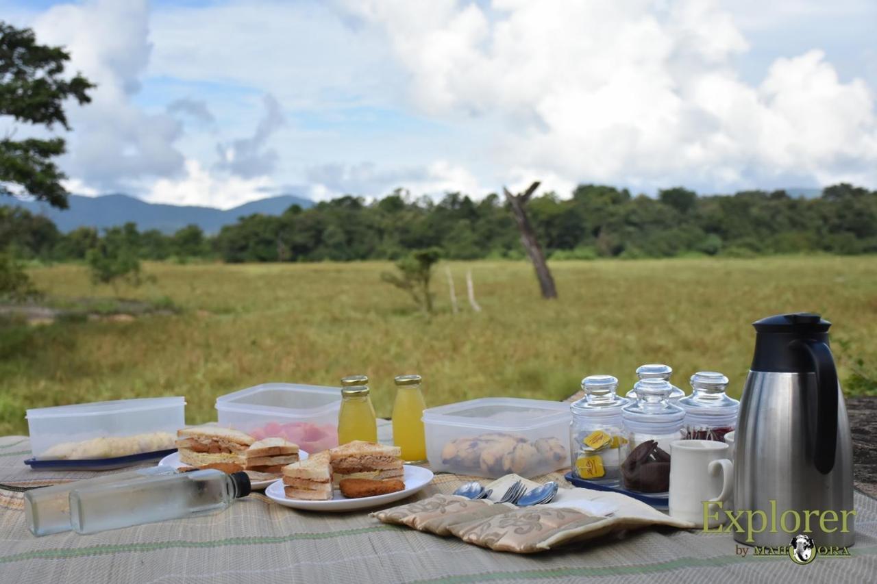 Explorer By Eco Team - Wasgamuwa National Park Exterior photo