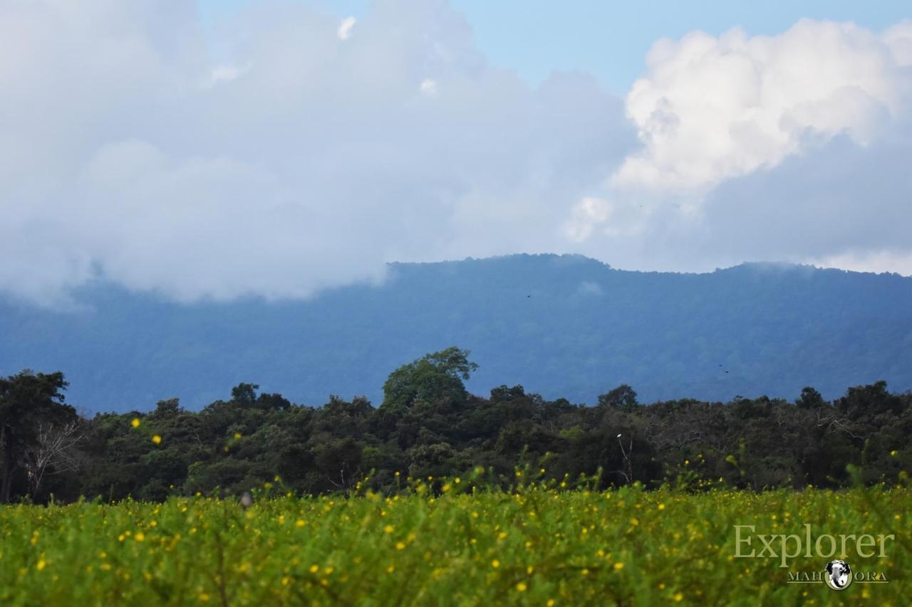 Explorer By Eco Team - Wasgamuwa National Park Exterior photo